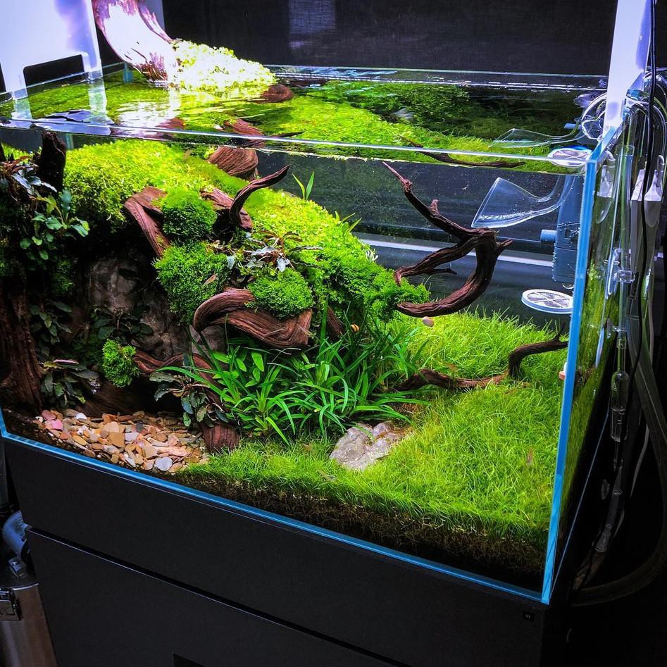 44 Terlaris Kipas Pendingin Aquascpae Aquarium