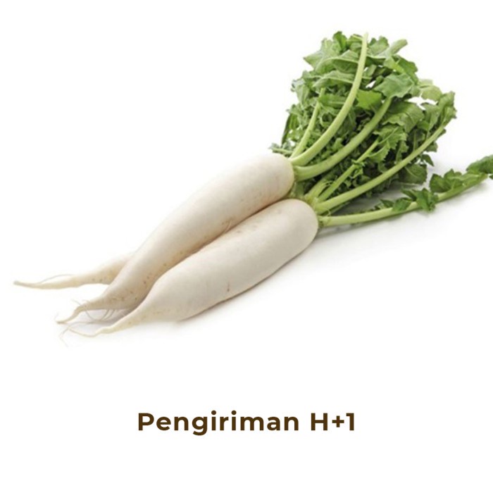 

Lobak Segar / Fresh Radish