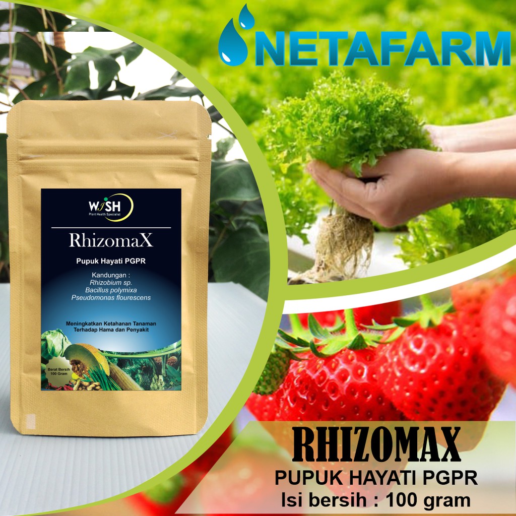 Pupuk Organik Hayati PGPR Rhizobium RHIZOMAX WISH - 100 gram