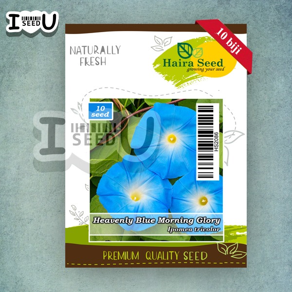 Haira Seed Bibit-Biji Bunga Morning Glory Heavenly Blue