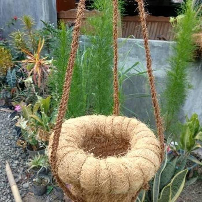 Pot hias gantung anggrek orchid serabut kelapa ramah Pot hias gantung anggrek orchid serabut kelapa ramah