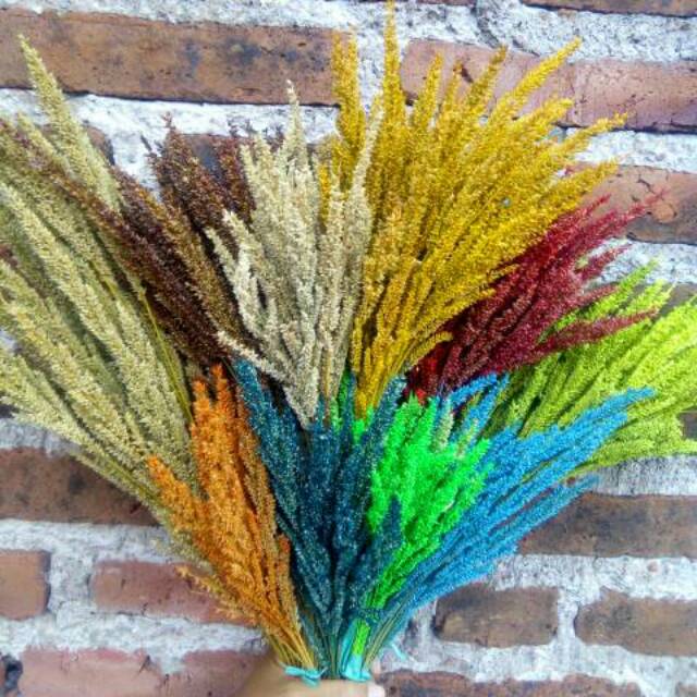 [50pc]Bunga warna kering/buket bunga kering/murah