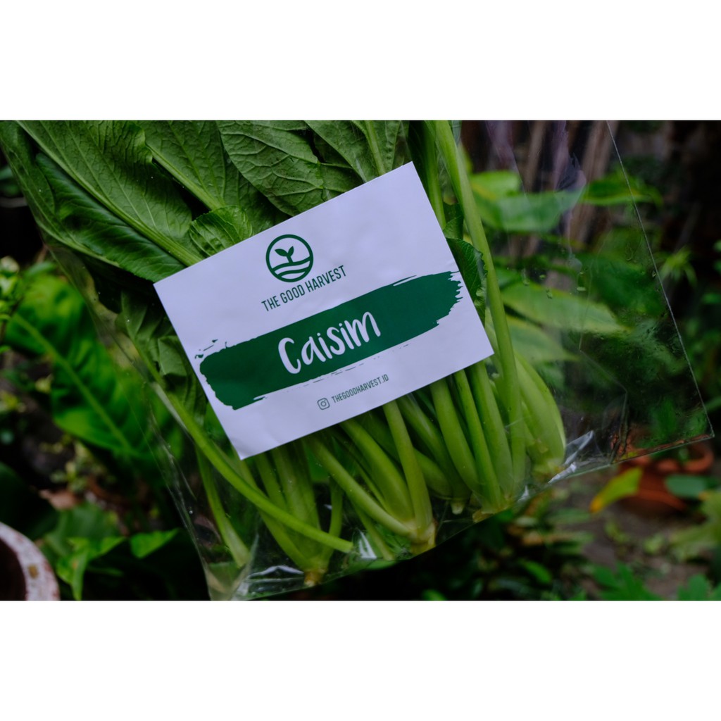 

Sayur Caisim Hidroponik - Caisim Vegetables Hydroponics 250G