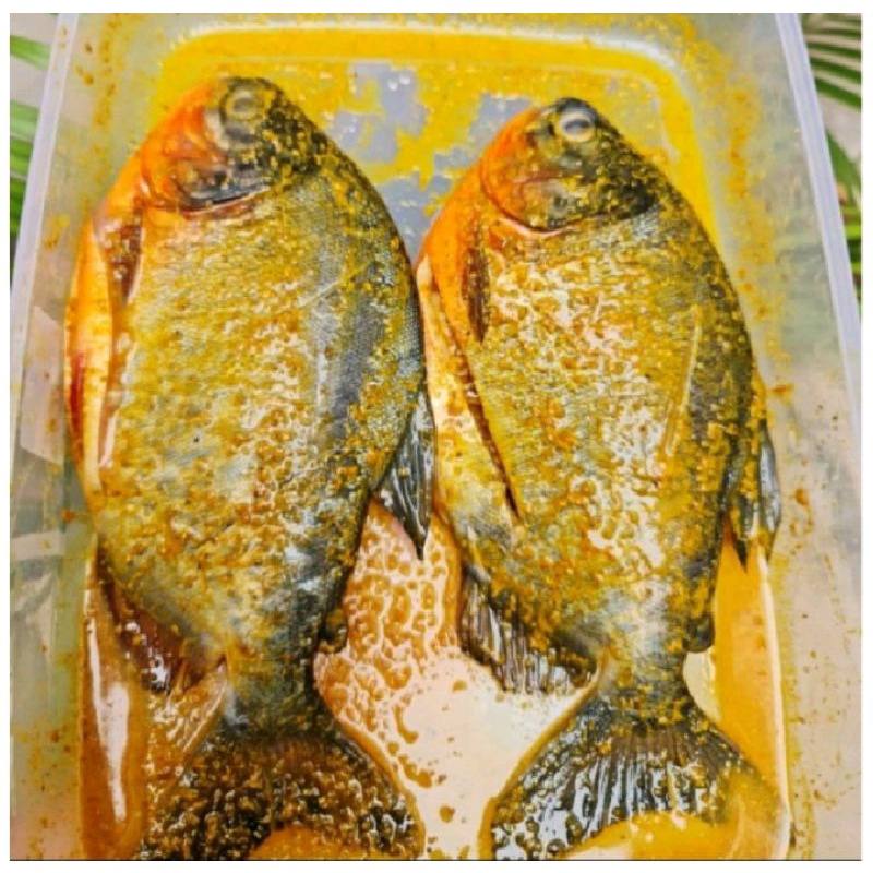 

Puri Segar Shop, Ikan Bawal Bumbu Kuning 500 Gram (Isi 2 - 3 Ekor) ORDERAN PAGI HARI