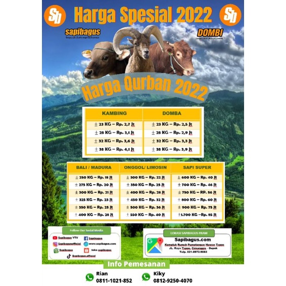 Promo Jual Sapi Qurban Murah Limosin Onggole Bali Free Ongkir Jabodetabek