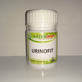  OBAT  ASAM URAT OBAT  REMATIK OBAT  NYERI  SENDI  LUTUT  