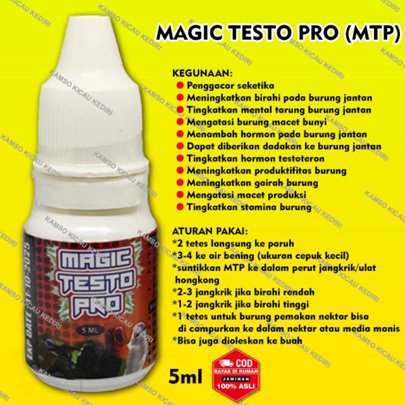 MAGIC TESTO PRO MTP PENGGACOR SEKETIKA BURUNG