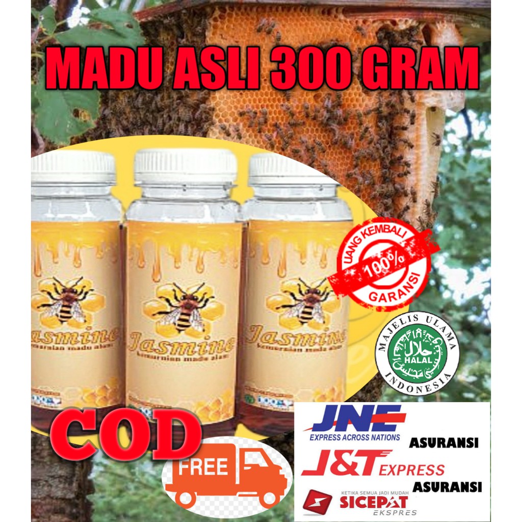 

COD BAYAR DI TEMPAT MADU HUTAN ASLI ISI 300 GRAM / LABEL 100% HALAL