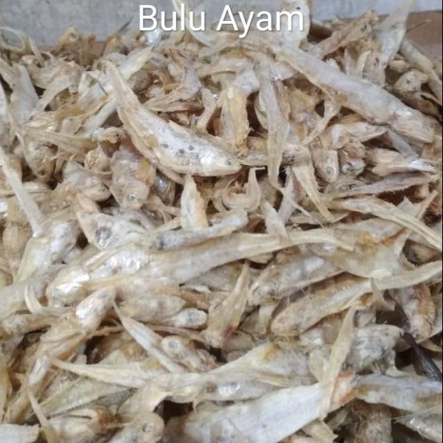 Ikan Asin Bulu Ayam Ikan Teri Bulu Ayam Shopee Indonesia