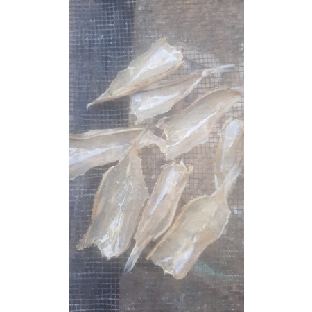 

ikan kering balak tawar.