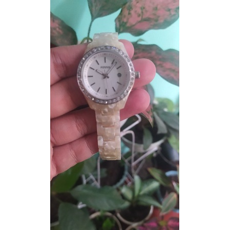 sold jam fossil Stella pearl