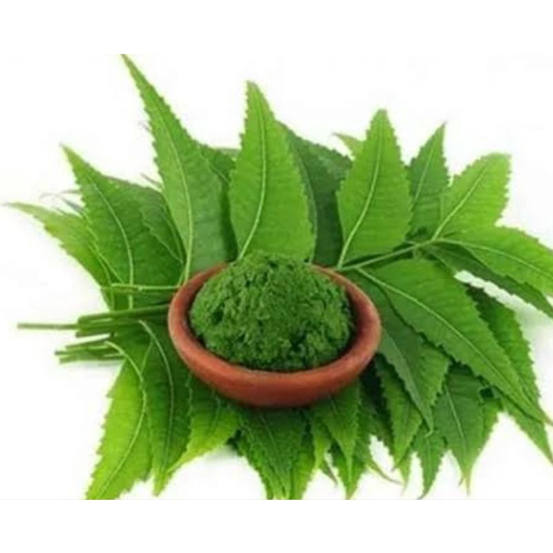 

Daun Mimba Bubuk (500gr)