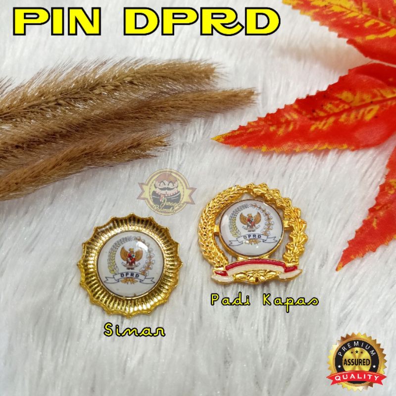 PIN DPRD