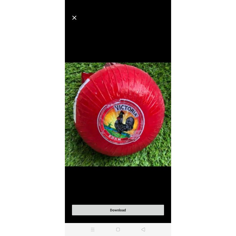 

Victoria Cheese keju edam whole bulat utuh hard cheez