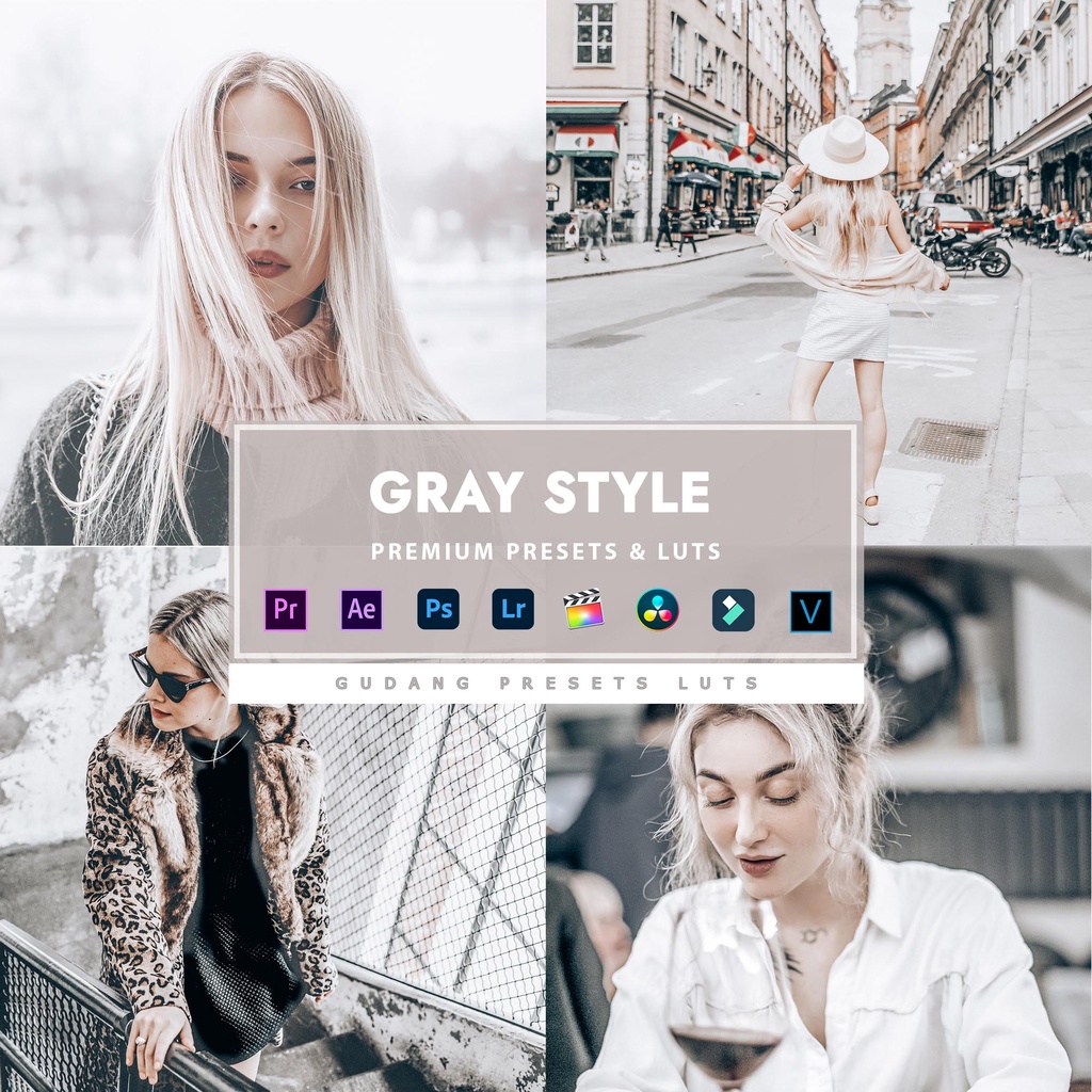 [BISA VN] Gray Style - Premium Preset Lightroom LUTs Android IOS PC Premiere Pro Davinci