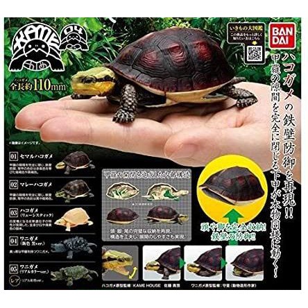 Gashapon Turtle Tortoise Dango Mushi