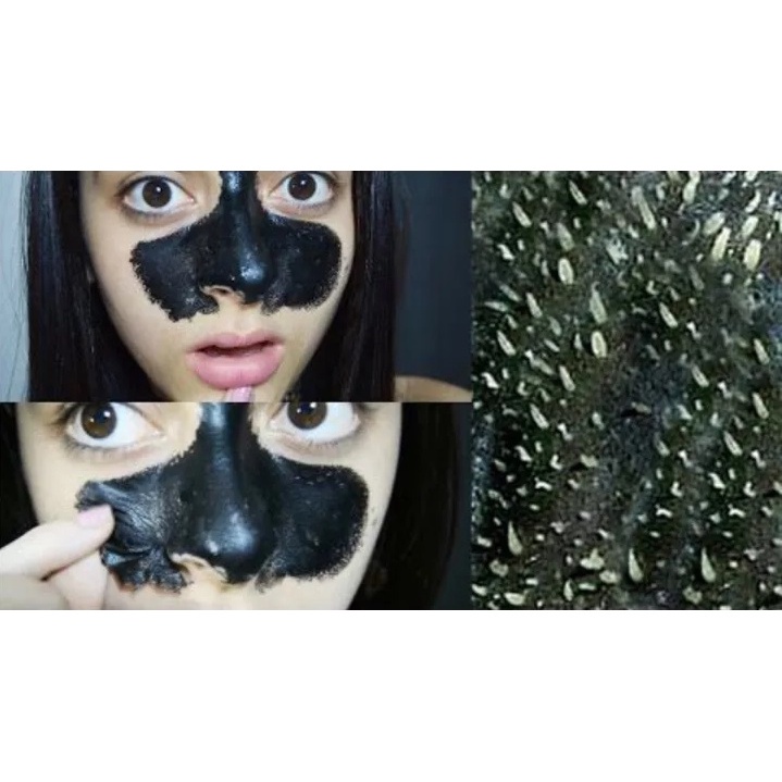 [ 10 SACHET ] FREE KUAS + Masker Wajah Komedo / Masker Naturgo [ BPOM ] Masker Lumpur Blackmask