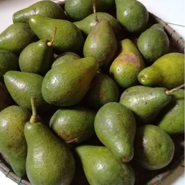 

Alpukat mentega kiloan