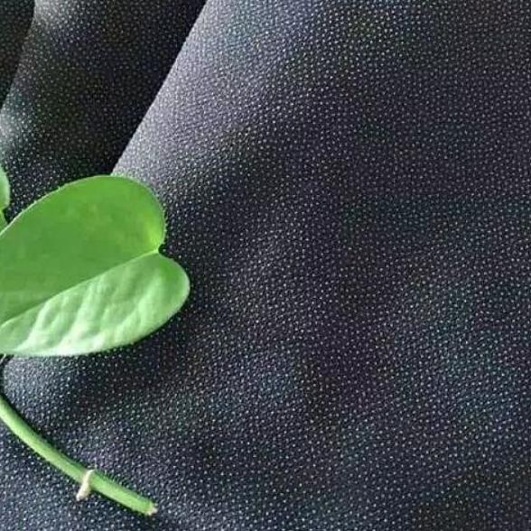 ℗ Lem jas/ wafel tebal/kufner trikot ♪