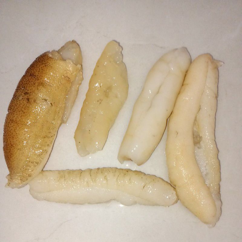 

haisom hoisem teripang GRADE C 500gr