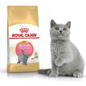 Royal Canin Kitten British Shorthair 2kg Royal Canin British Kitten Makanan Kucing Kitten