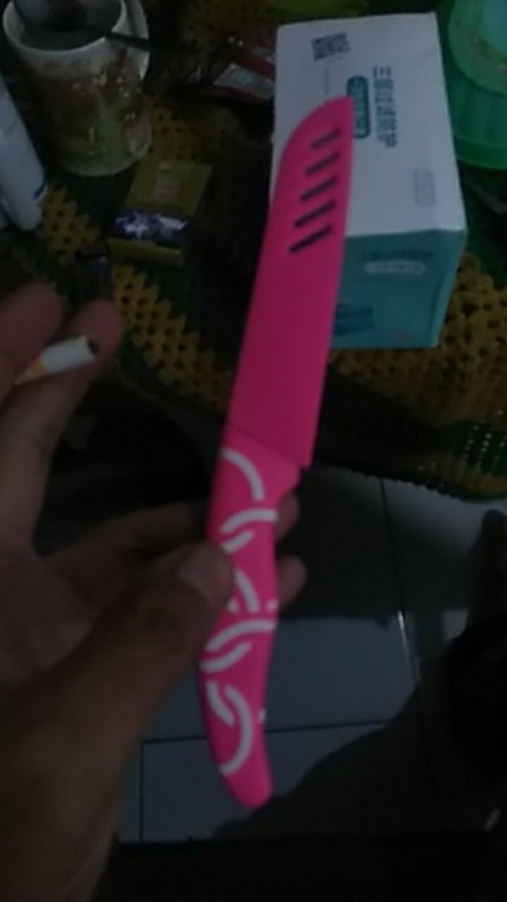 Pisau Apel Pisau Dapur Untuk Potong Buah Dan Sayur Bahan Stainless