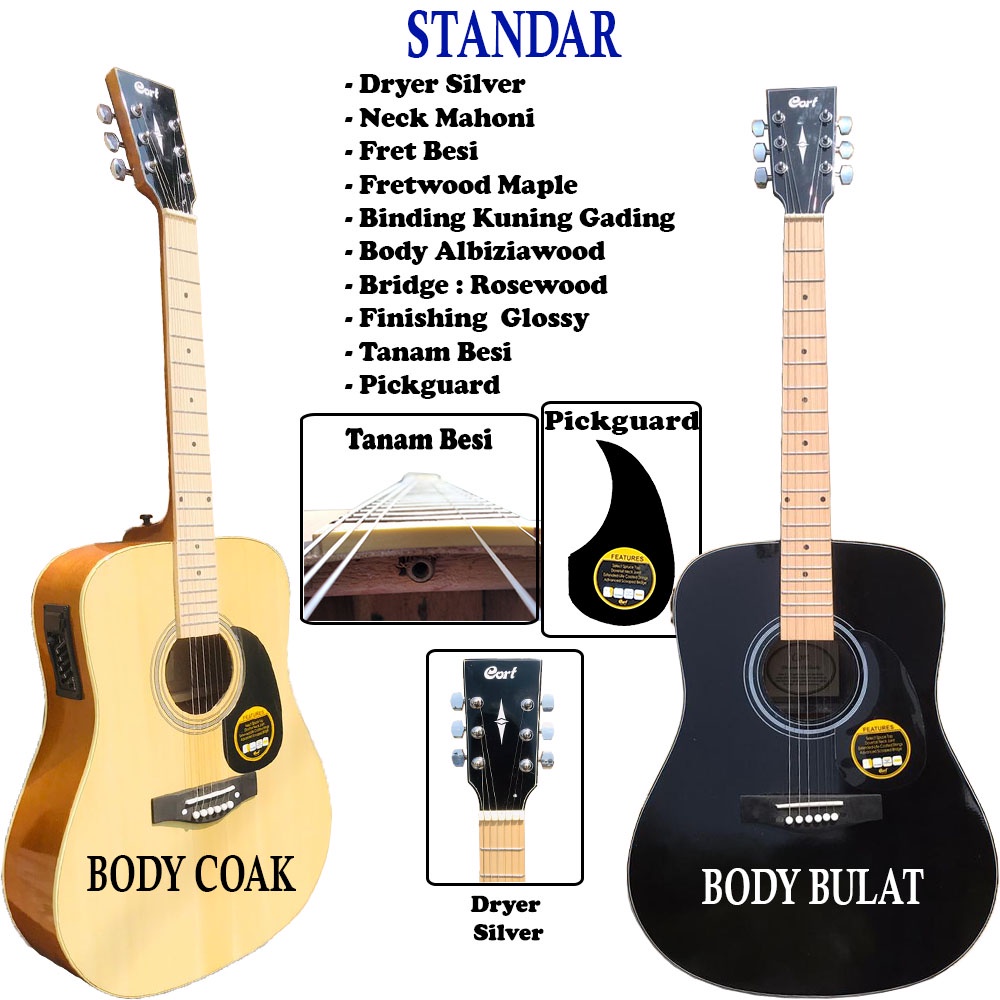 Gitar Cort Akustik Terbaru