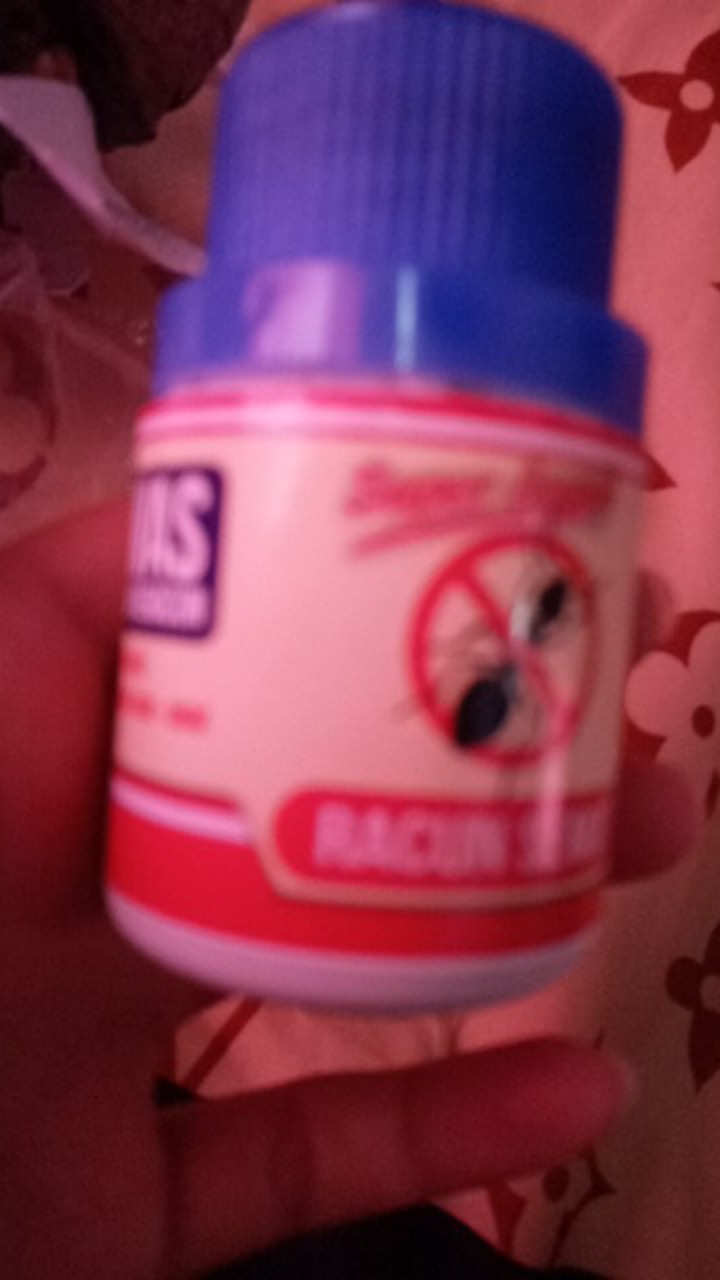 Racun Semut Sangat Ampuh Membasmi Menghilangkan Sampai Sarang Koloni