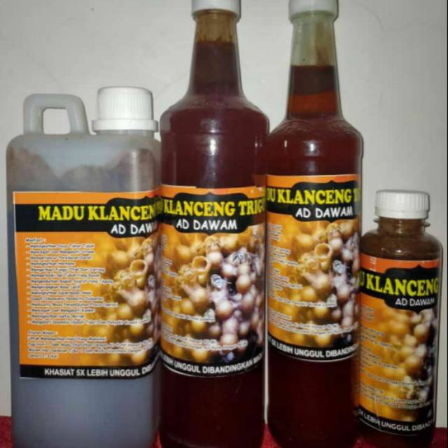 

Madu klanceng asli