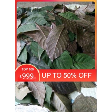 

Daun Handeuleum segar atau daun ungu 1000gram