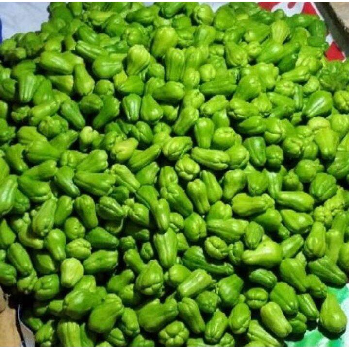 labu siam baby per 1kg fresh