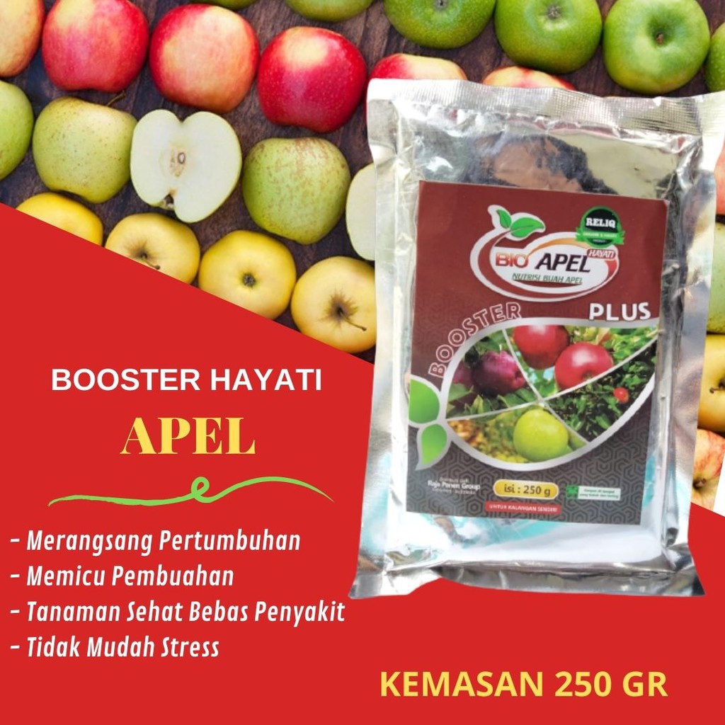 Pupuk Buah Lebat / BOOSTER HAYATI APEL / Booster Buah Apel dan Pupuk Perangsang Apel