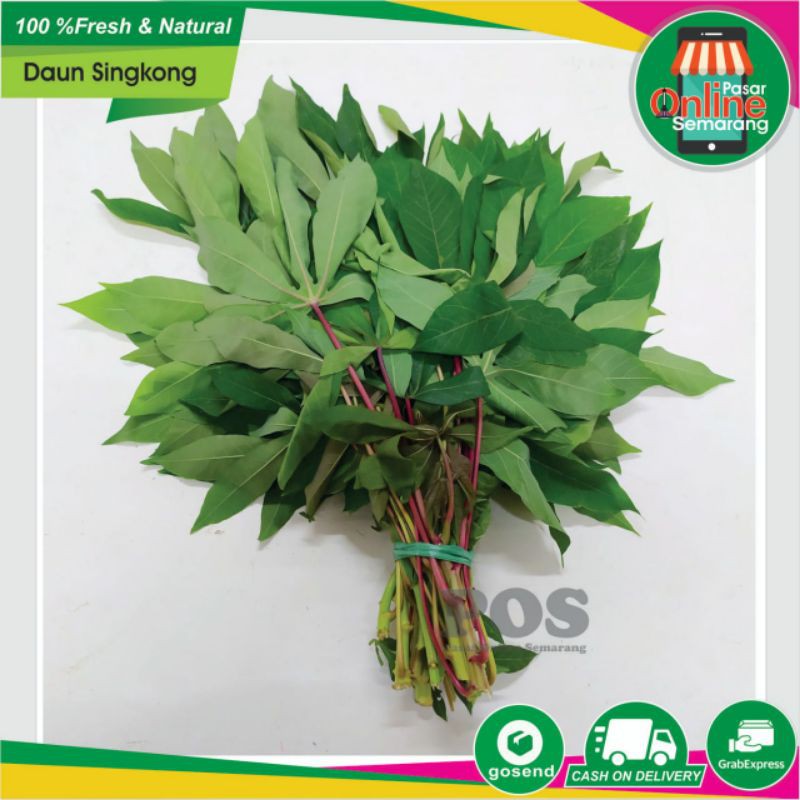 

Sayur Sayuran / Daun Ketela / Daun Singkong / Godong Telo / Dong Telo / Segar / Fresh/ Belanja Sayur