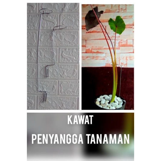 kawat penyangga tanaman turus tanaman kawat penyangga anggrek turus rambatan penyangga tanaman kelad