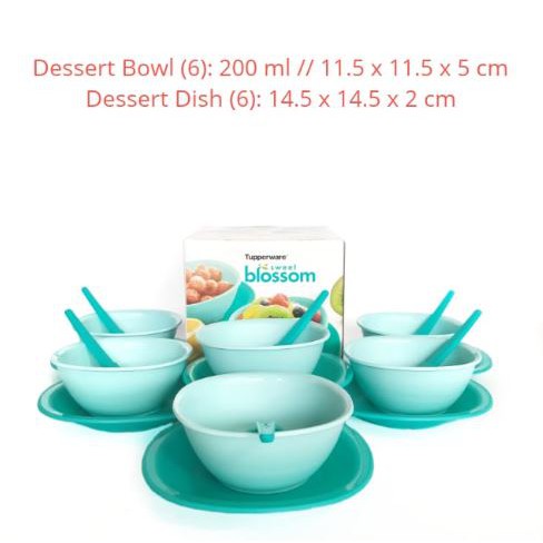 Tupperware Dessert Bowl Set
