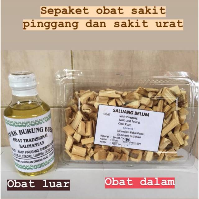 

OBAT SAKIT PINGGANG URAT SEPAKET MINYAK URUT BUBUT DAN RAMUAN KHUSUS UNTUK SAKIT URAT PINGGANG