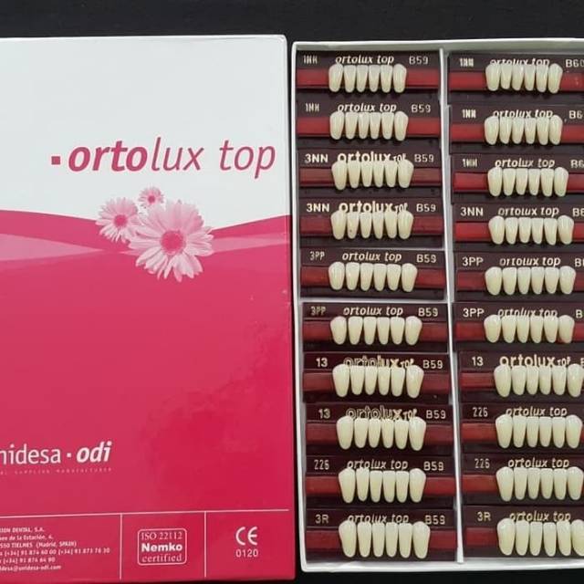 1 strip Gigi Palsu Akrilik ORTOLUX TOP | Acrylic Teeth