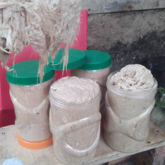 Oke Price.. Umpan Kucur Ryan Fernandez 1 Kg