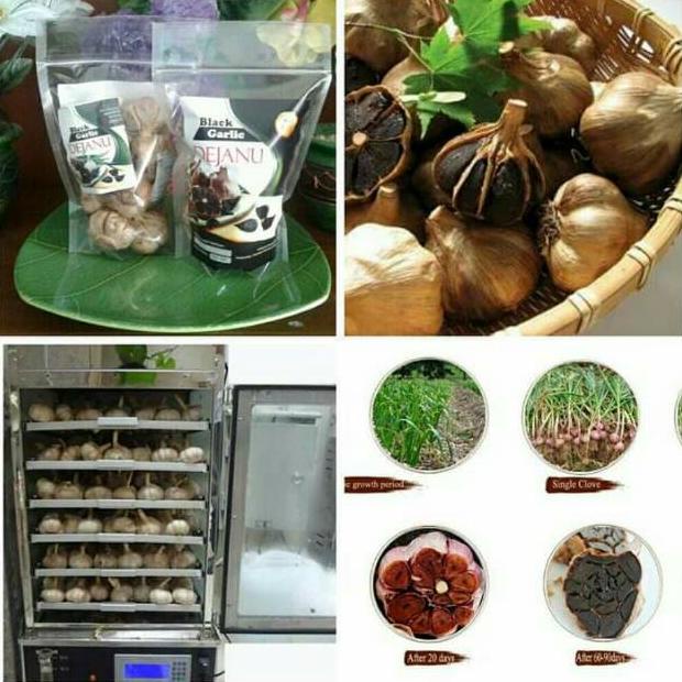 

Paket Black Garlic Bawang Hitam Tunggal Lanang Kating Dejanu