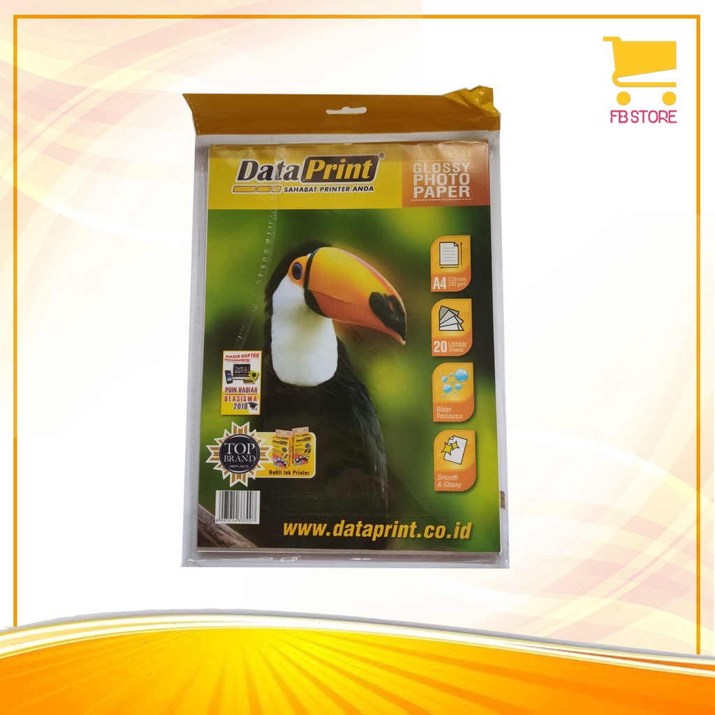 

Glossy Photo Paper Dataprint / Data Print A4 230Gsm