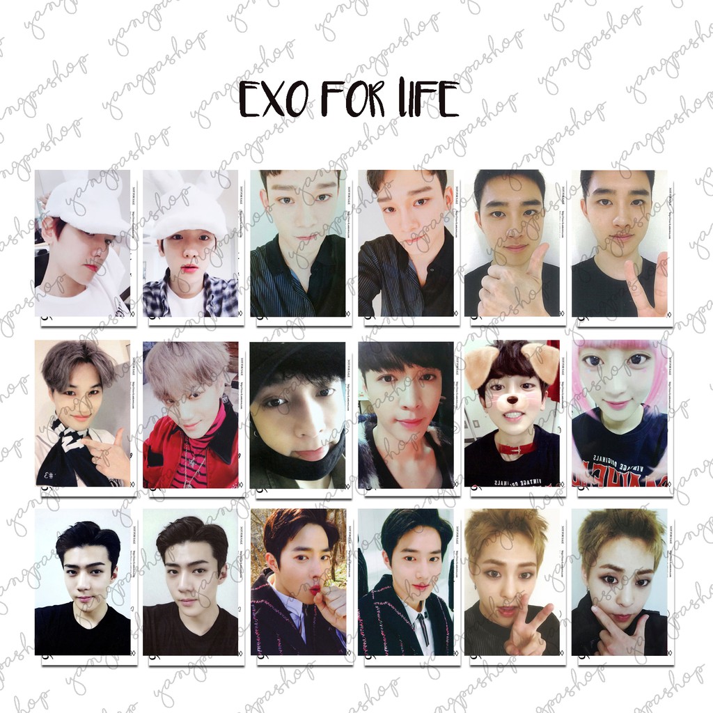 [READY / SET] SET FOR LIFE EXCK PHOTOCARD FAN MADE UNOFFICIAL YANGPASHOP SEHUN CHANYEOL BAEKHYUN