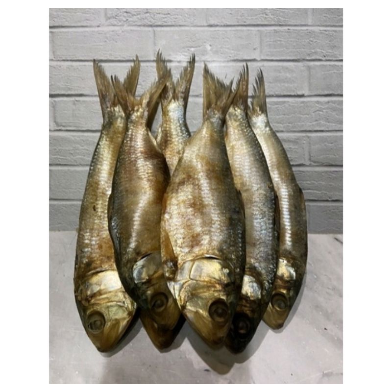 

ikan Asin Tanjan Belo 500gr~1kg