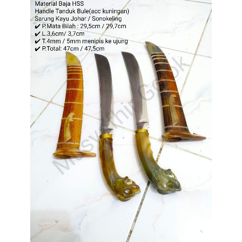 

Macan bule