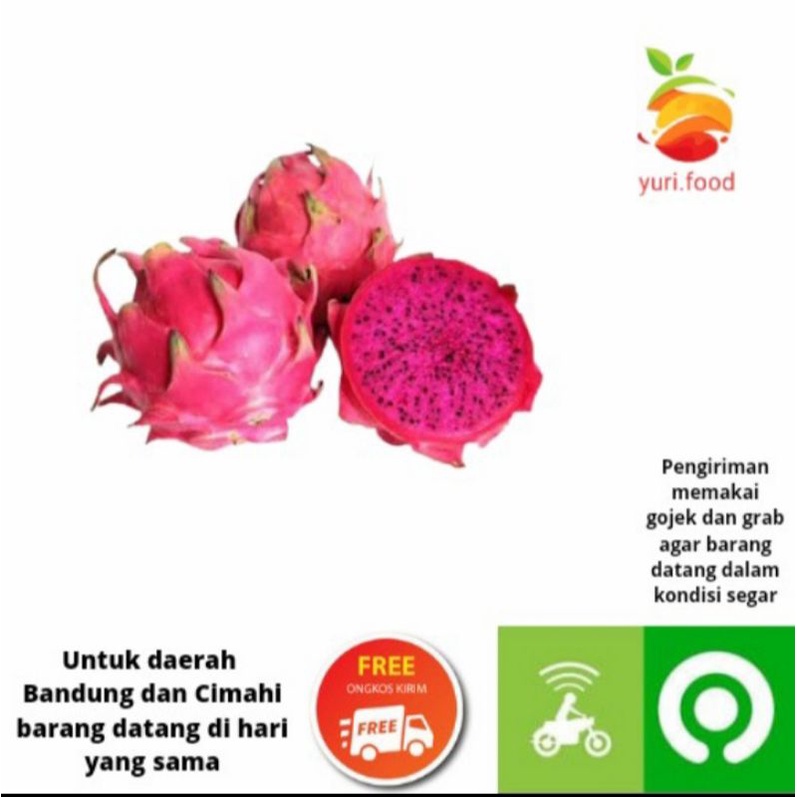 

buah naga 1 pcs isi -+500 gram