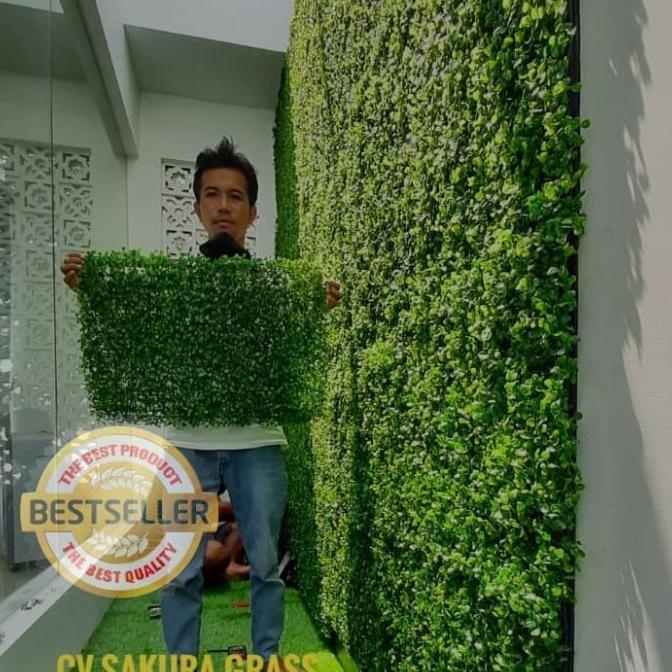 

[COD] Daun Dolar Dolaran Sintetis 40x60 Isi 4 Kotak Lebih Halus Dan Rapat [COD]