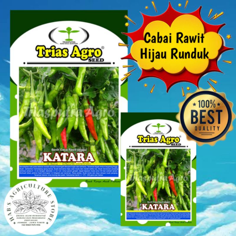 BENIH CABAI RAWIT HIJAU KATARA / BIJI CABAI RAWIT MERAH RUNDUK / BIBIT CABAI RAWIT BERKUALITAS