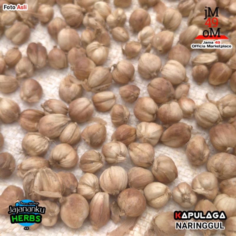 

Kapulaga 500gr Kapol Kering Premium Cardamom Java Tanpa Pemutih