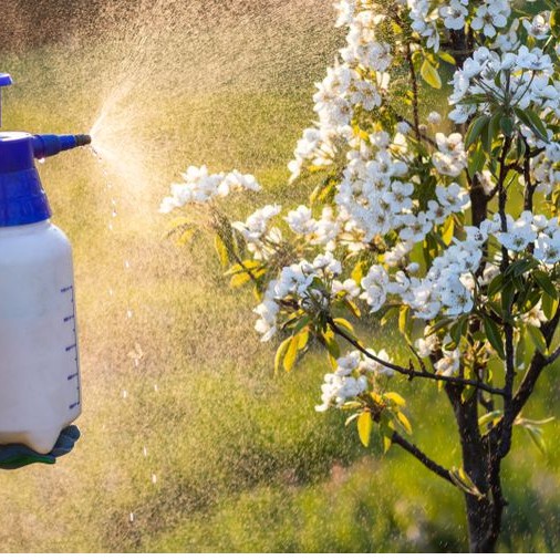 Gandasil B Pupuk Buah &amp; Bunga NPK Majemuk Generatif Nutrisi Perangsang Pembungaan Pembuahan Lengkap