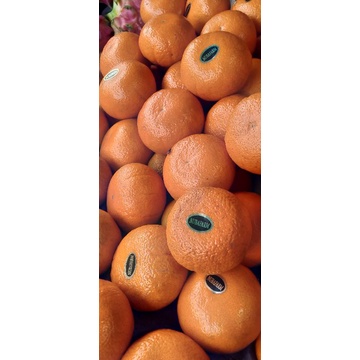 

buah jeruk mandarin murcot