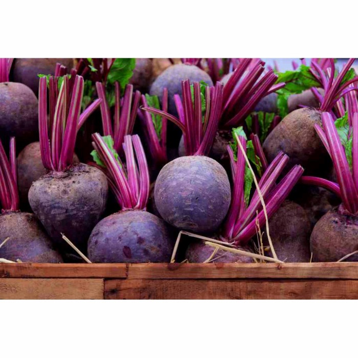 

BUAH BEET / BEETROOT - 1kg